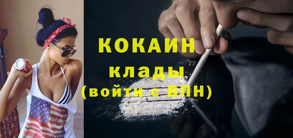прущие грибы Касимов