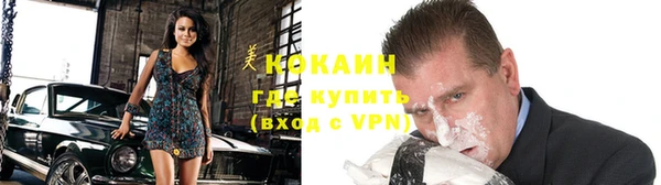 прущие грибы Касимов