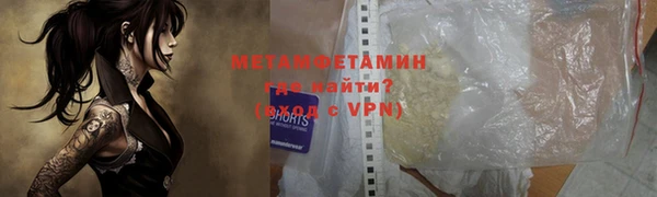 прущие грибы Касимов