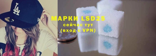 прущие грибы Касимов