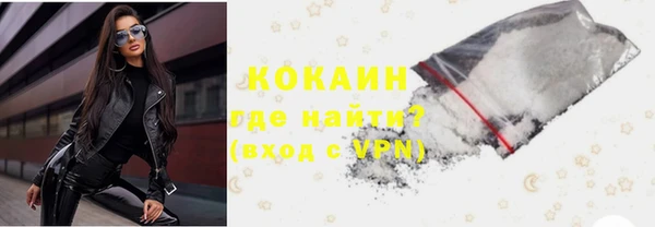 прущие грибы Касимов