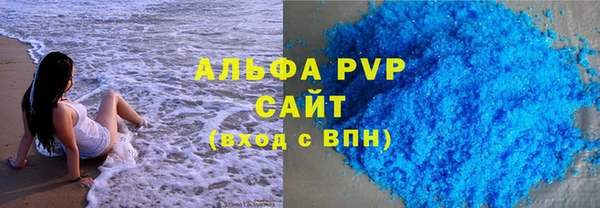 прущие грибы Касимов
