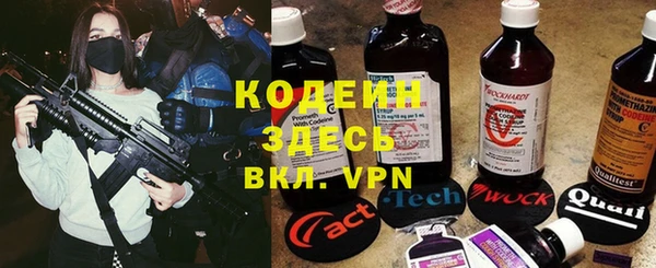 прущие грибы Касимов