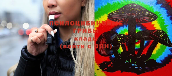 прущие грибы Касимов