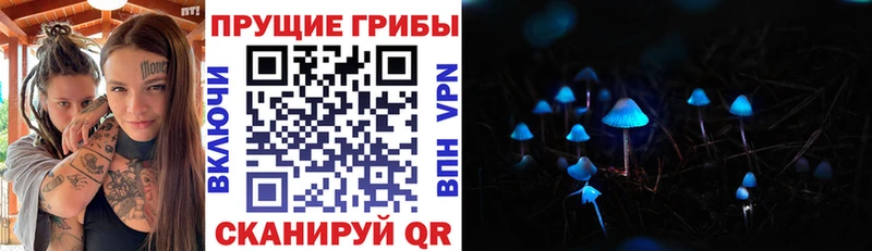 Купить  Зеленоградск  Галлюциногенные грибы MAGIC MUSHROOMS 